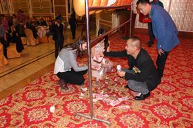 廣東瑞馬壁掛爐2014年度答謝盛典                        &mdash;&mdash;萌萌噠&ldquo;小戰(zhàn)馬&rdquo;日記19