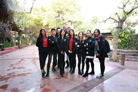 瑞馬壁掛爐：又經一年風雨，再創一路輝煌