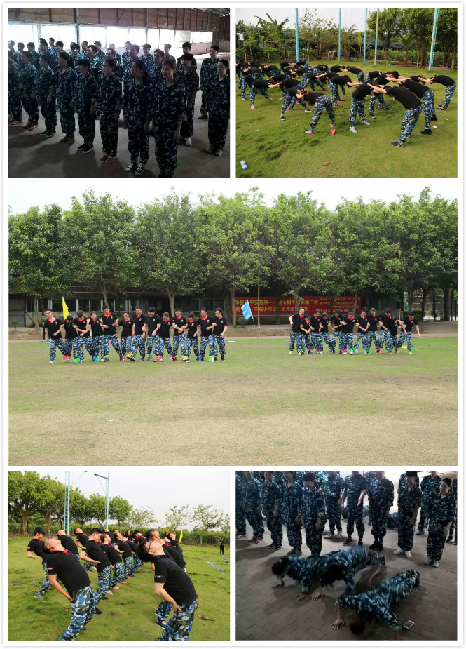 激情瑞馬展活力，凝心聚力瑞馬夢33