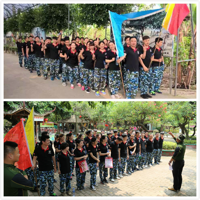 激情瑞馬展活力，凝心聚力瑞馬夢66