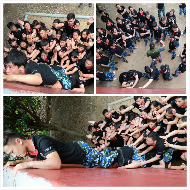 激情瑞馬展活力，凝心聚力瑞馬夢55